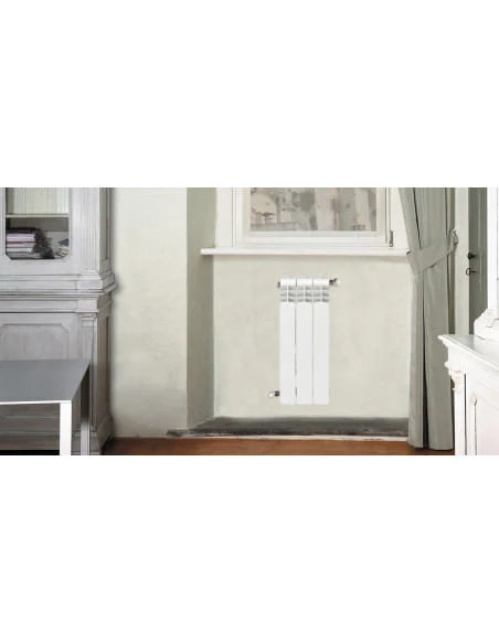 Termosifone Radiatore In Alluminio Da 3 Elementi Ferroli Proteo HP 700 Interasse 600 Mm 4 Termosifone Radiatore In Alluminio Da 3 Elementi Ferroli Proteo HP 700 Interasse 600 Mm - immagine 2